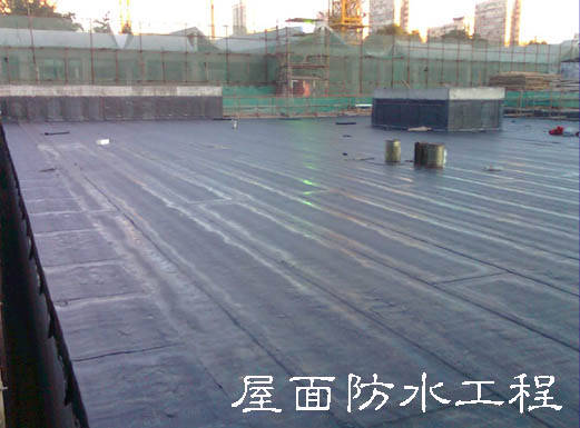 從根本上解決和防治建筑屋面滲漏問題，專家給出的方案是從防水系統設計、施工過程、材料選材及質量監管和后期的管理維護等方面著手，嚴格規范